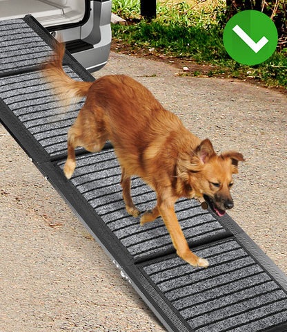 Anti Slip Ramp™